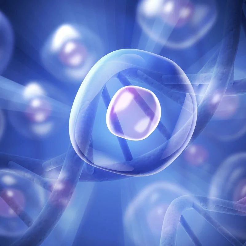 stem cell injections ankle