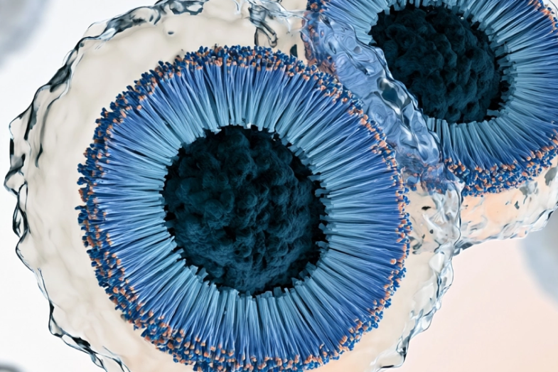 3D rendering of exosome vesicles