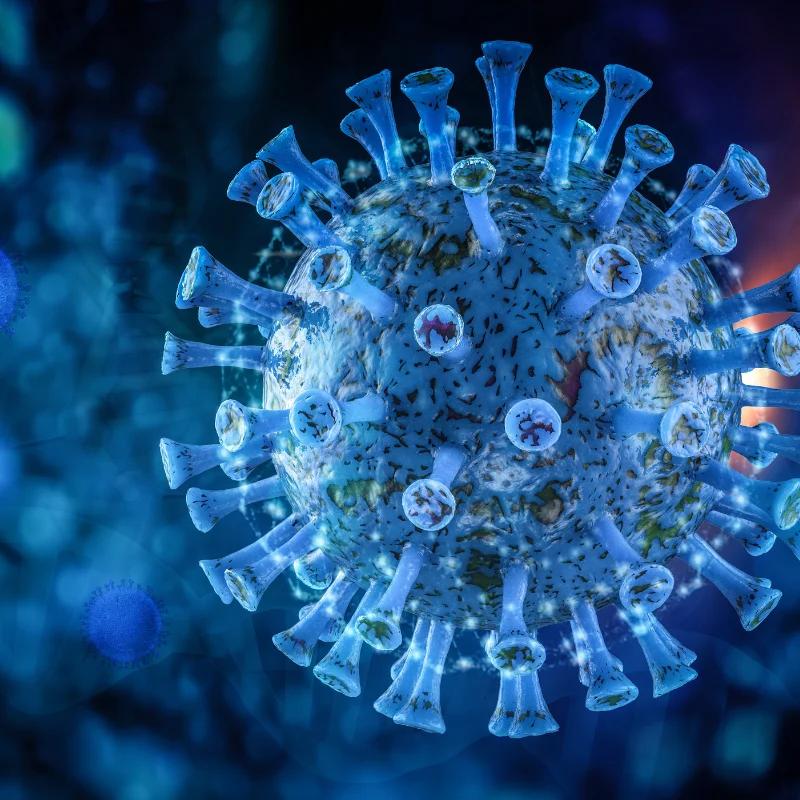 MUSE Cells vs Stem Cells