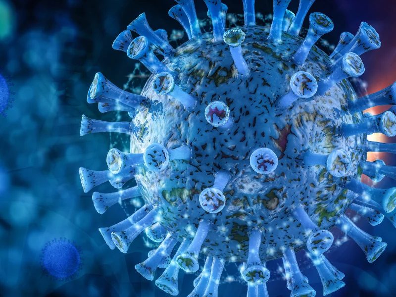 MUSE Cells vs Stem Cells