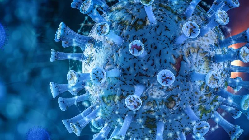 MUSE Cells vs Stem Cells
