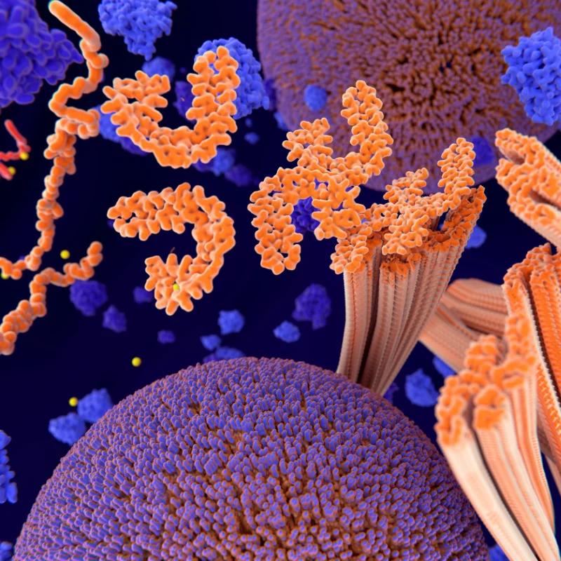 Plasmapheresis for Alzheimer's Disease: Benefits and What the Research Shows