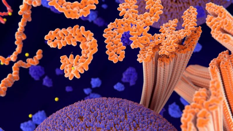 Plasmapheresis for Alzheimer's Disease: Benefits and What the Research Shows
