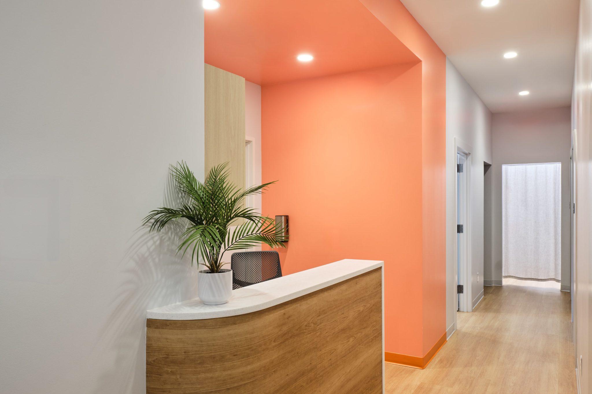 Coral reception desk with curved wood paneling in the Austin clinic