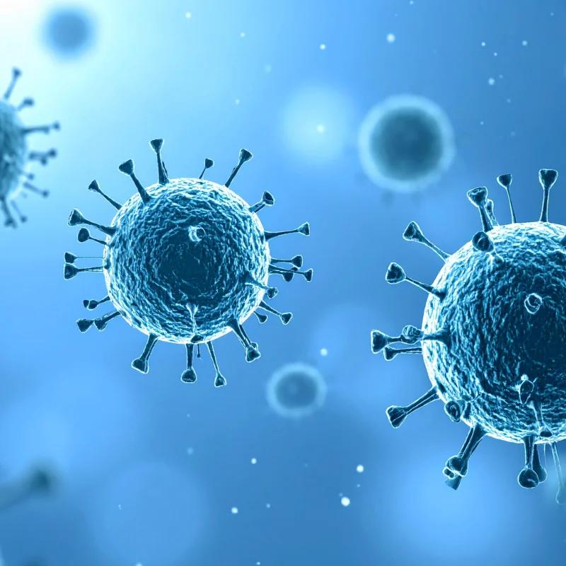 MUSE Stem Cells