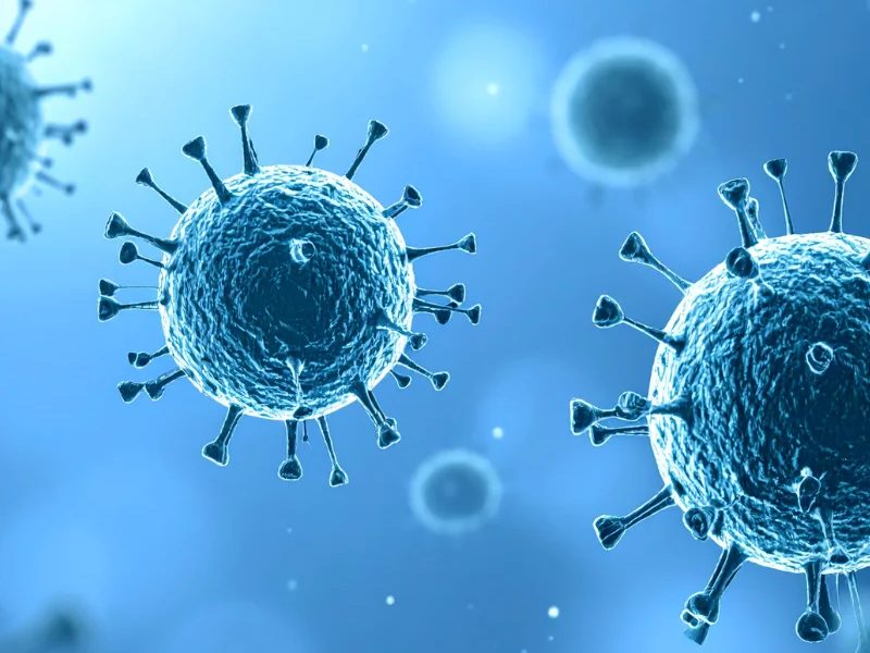 MUSE Stem Cells