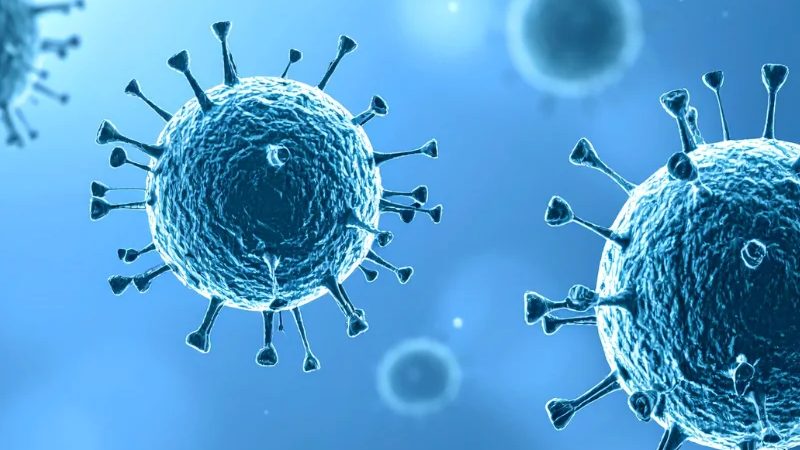 MUSE Stem Cells