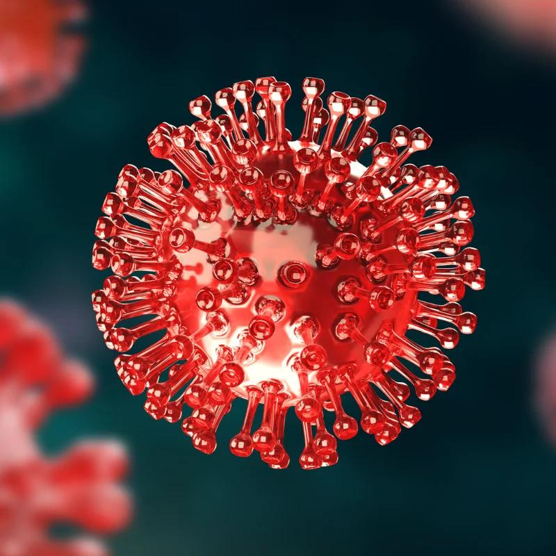 Plasmapheresis and Antibiotic Therapy: What Patients Should Know