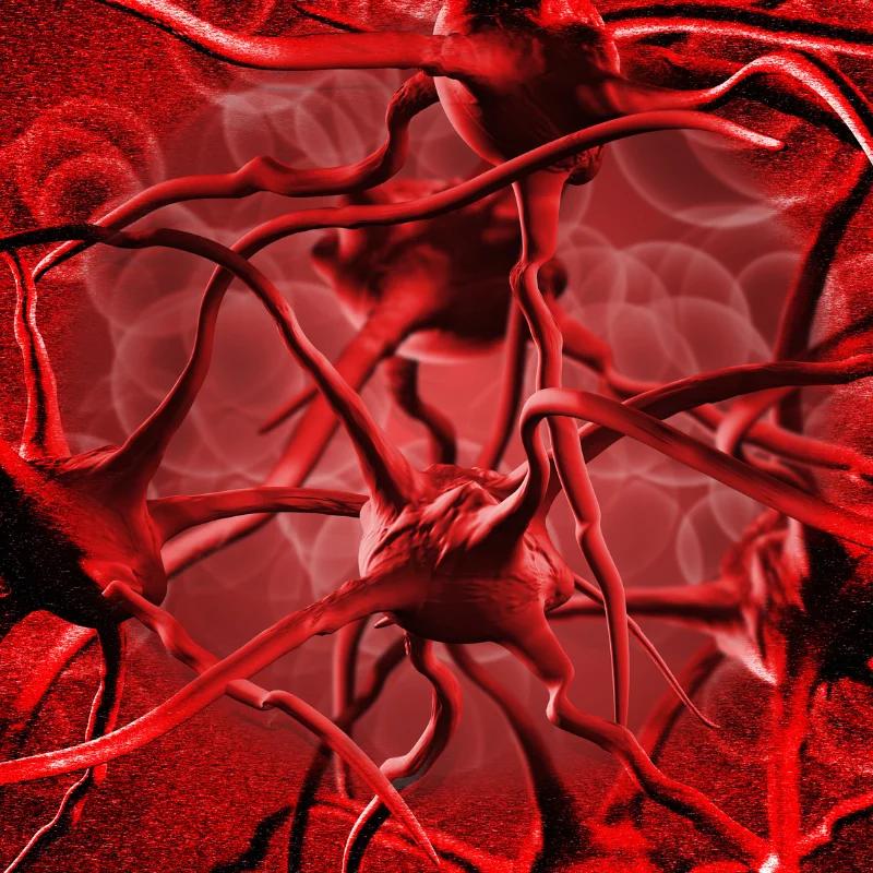 Plasmapheresis for Anemia: What the Evidence Says About Risks, Benefits, and Safety