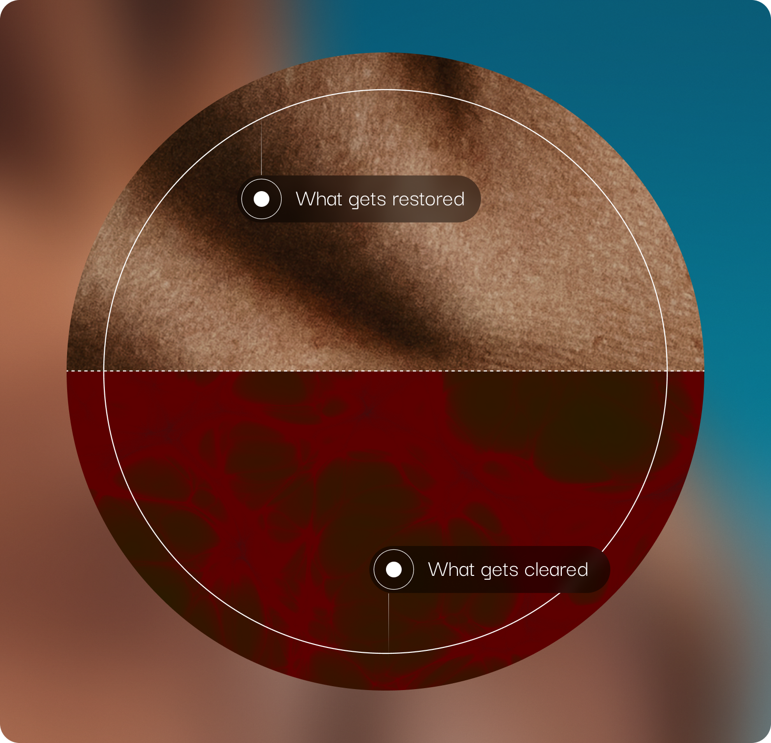 Circular composite illustrating restoration and clearance, with What gets restored / What gets cleared callouts