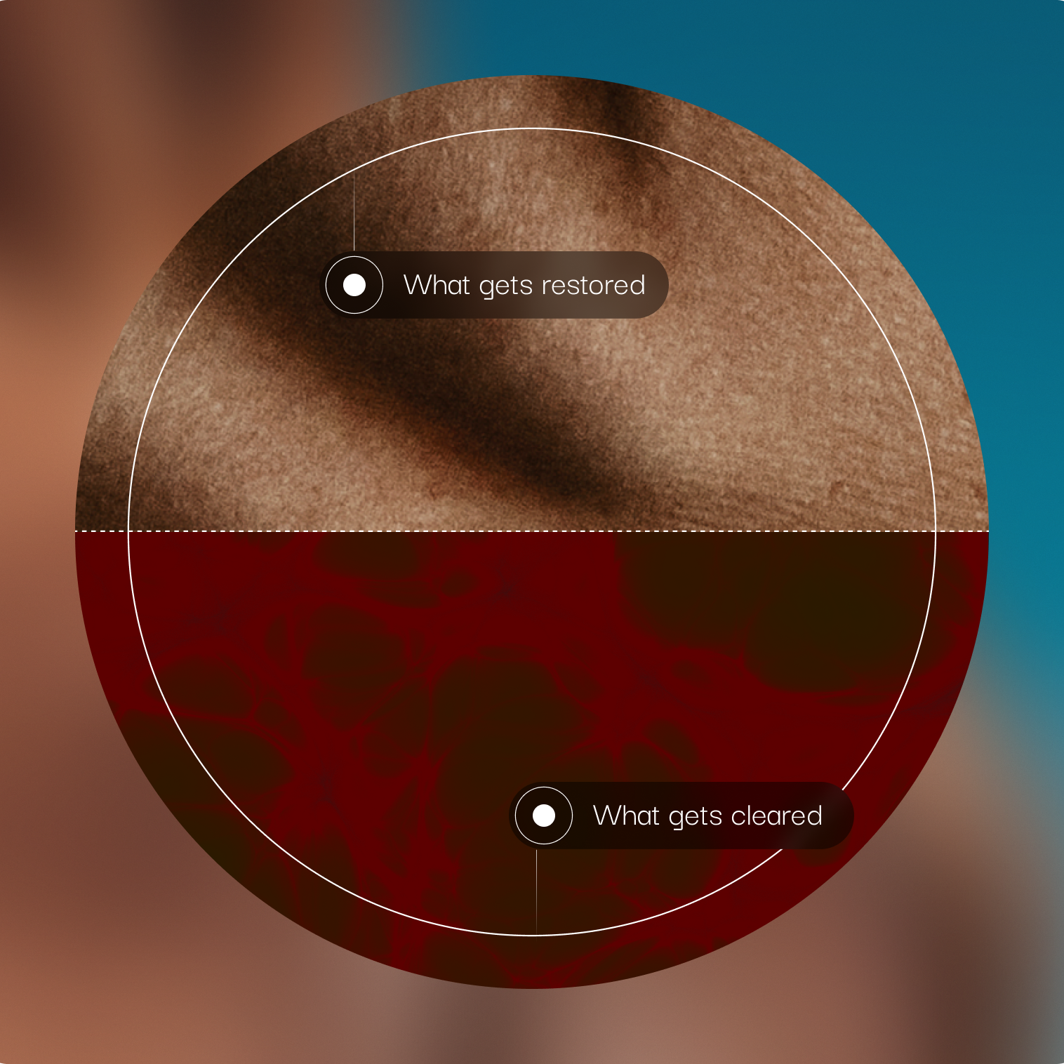 Circular composite illustrating restoration and clearance, with What gets restored / What gets cleared callouts