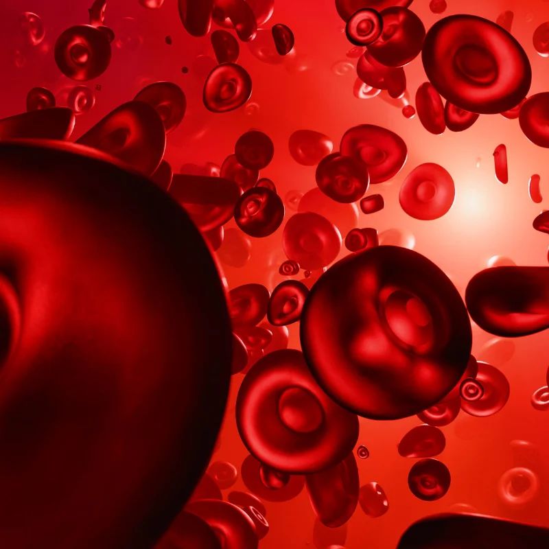 Plasmapheresis vs Plasma Donation