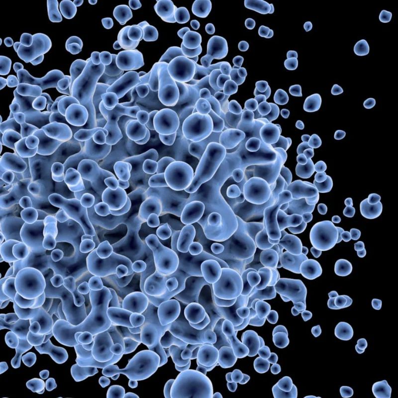 where to get stem cell therapy for knees