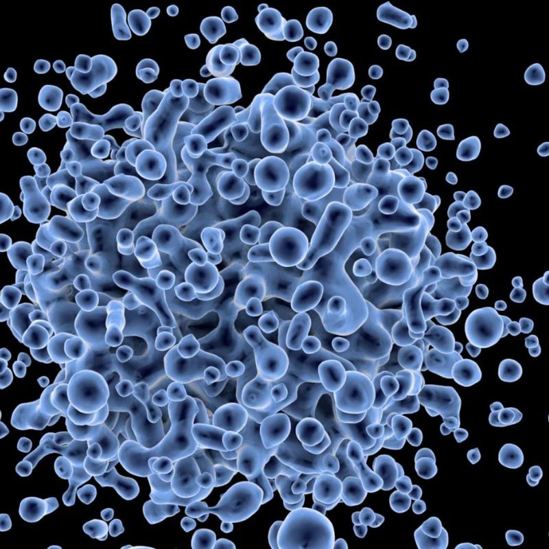 stem cell therapy for golfers elbow