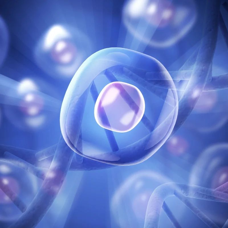 anti aging stem cell treatment