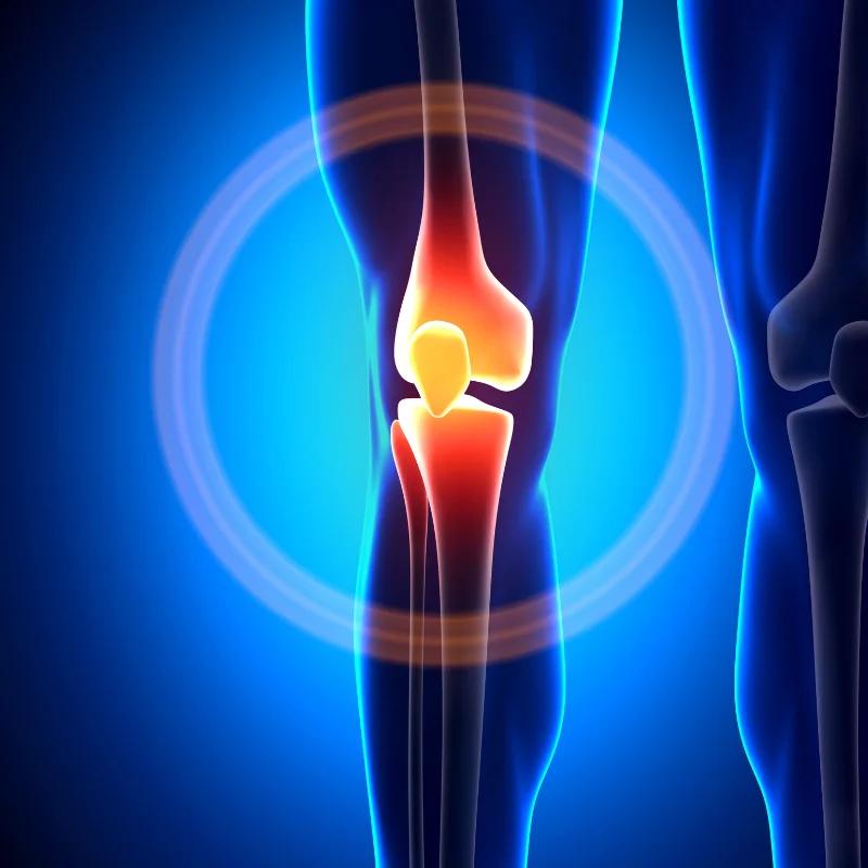 Stem cell therapy for knee